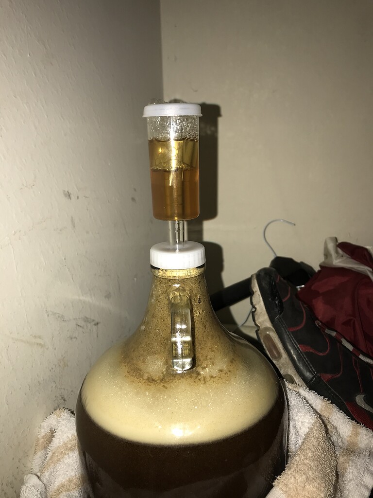 Help Airlock IssuesCaribou Slobber Beginner Getting Started