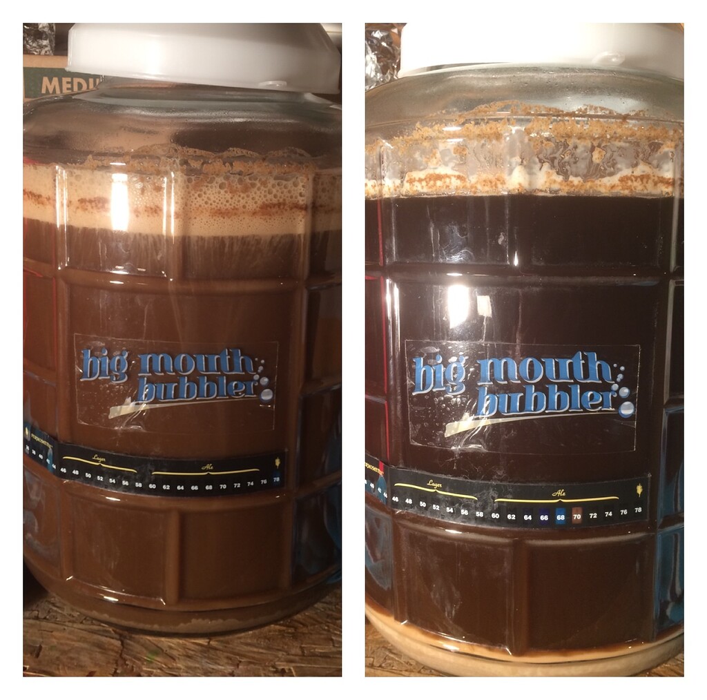 Where did all my crausen go? Yeast & Fermentation Northern Brewer Forum