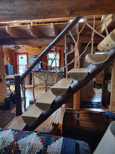 IMG_20240303_084821205_HDR